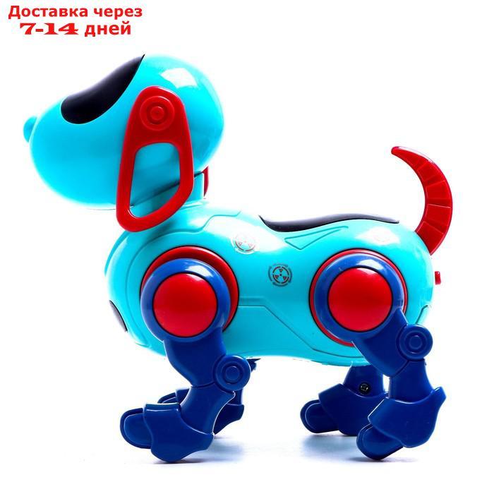 WOOW TOYS Собака "IQ DOG", ходит, поет, работает от батареек, цвет голубой - фото 3 - id-p209295638