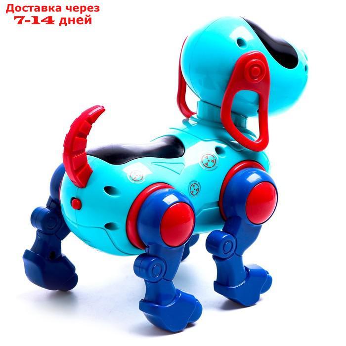 WOOW TOYS Собака "IQ DOG", ходит, поет, работает от батареек, цвет голубой - фото 4 - id-p209295638