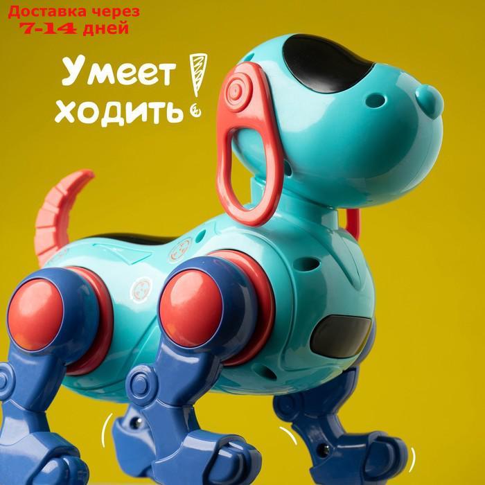 WOOW TOYS Собака "IQ DOG", ходит, поет, работает от батареек, цвет голубой - фото 6 - id-p209295638