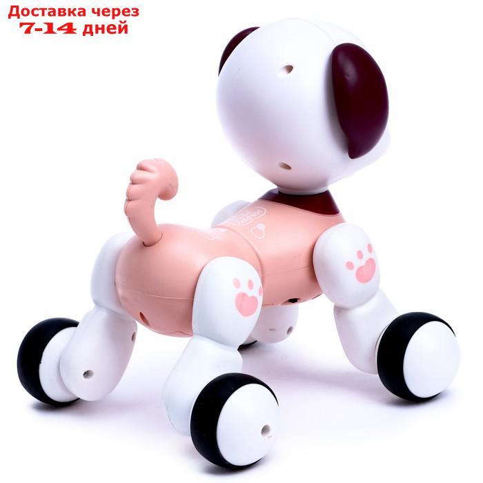 IQ BOT Интерактивная игрушка "Мой любимый питомец", радиоуправление, звук,бордовый,SL-05356C 71047 - фото 5 - id-p209297650