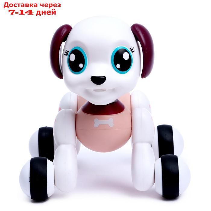 IQ BOT Интерактивная игрушка "Мой любимый питомец", радиоуправление, звук,бордовый,SL-05356C 71047 - фото 6 - id-p209297650