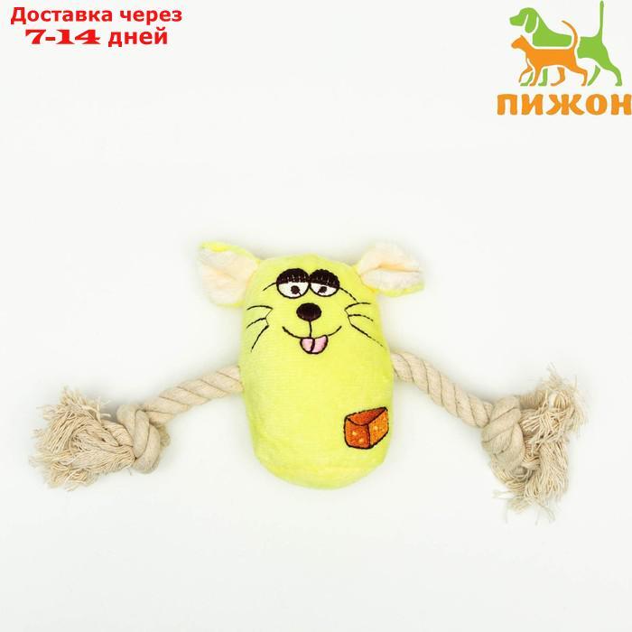 Игрушка мягкая для собак "Веселая мышка" с канатом и пищалкой, 20 х 13 см, жёлтая - фото 1 - id-p209300680