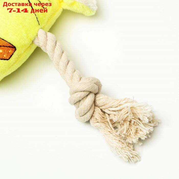 Игрушка мягкая для собак "Веселая мышка" с канатом и пищалкой, 20 х 13 см, жёлтая - фото 2 - id-p209300680
