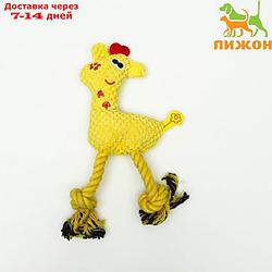 Игрушка мягкая для собак "Жираф с канатом", с пищалкой, 15 х 25 см