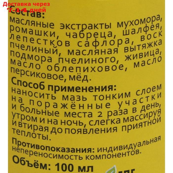 Мазь монастырская Живица и мухомор, Архыз, 100 мл - фото 2 - id-p209295811