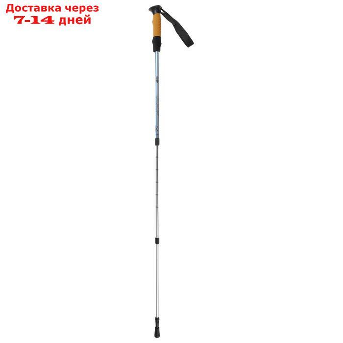Палки для скандинавской ходьбы, телескопическая, 3 секции, до 135 см, (пара 2 шт), цвета МИКС - фото 2 - id-p209292631