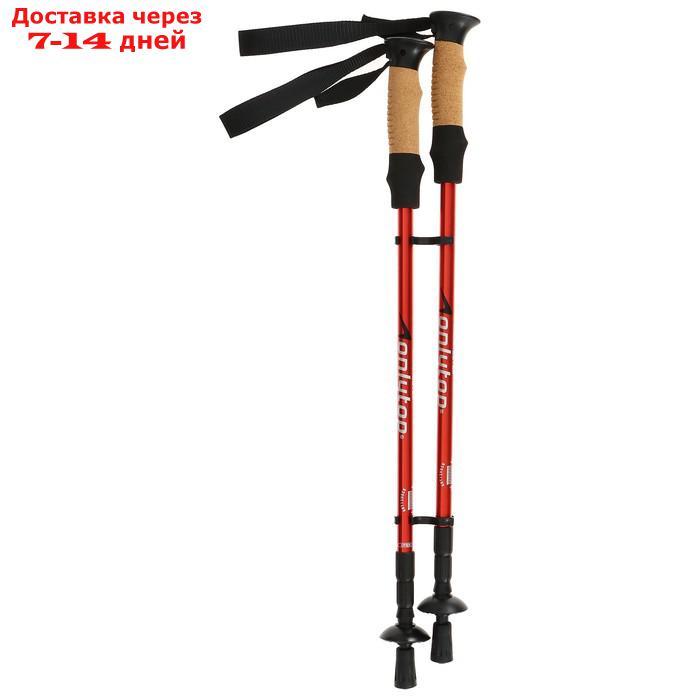 Палки для скандинавской ходьбы, телескопическая, 3 секции, до 135 см, (пара 2 шт), цвета МИКС - фото 6 - id-p209292631