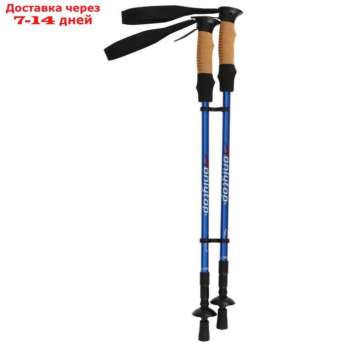 Палки для скандинавской ходьбы, телескопическая, 3 секции, до 135 см, (пара 2 шт), цвета МИКС - фото 8 - id-p209292631