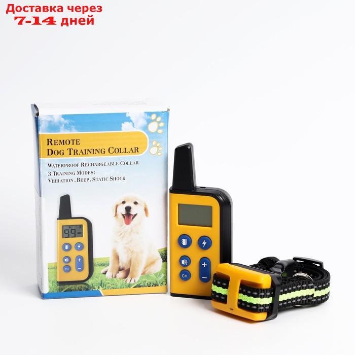 Электронный ошейник 663 для собак, дрессировочный, водонепроницаемый, до 550 м - фото 1 - id-p209302788