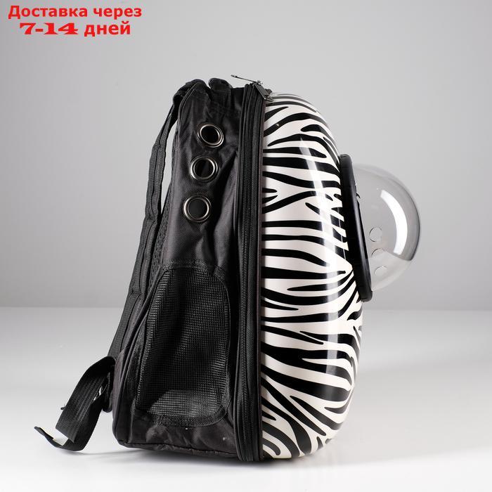 Рюкзак для переноски животных с окном для обзора, 32 х 25 х 42 см - фото 2 - id-p209291657
