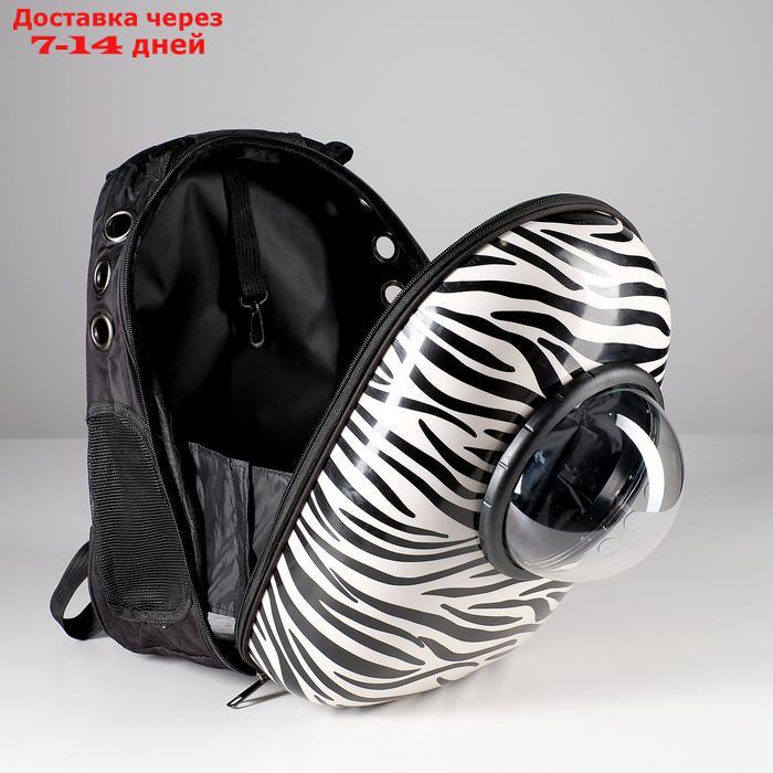 Рюкзак для переноски животных с окном для обзора, 32 х 25 х 42 см - фото 4 - id-p209291657