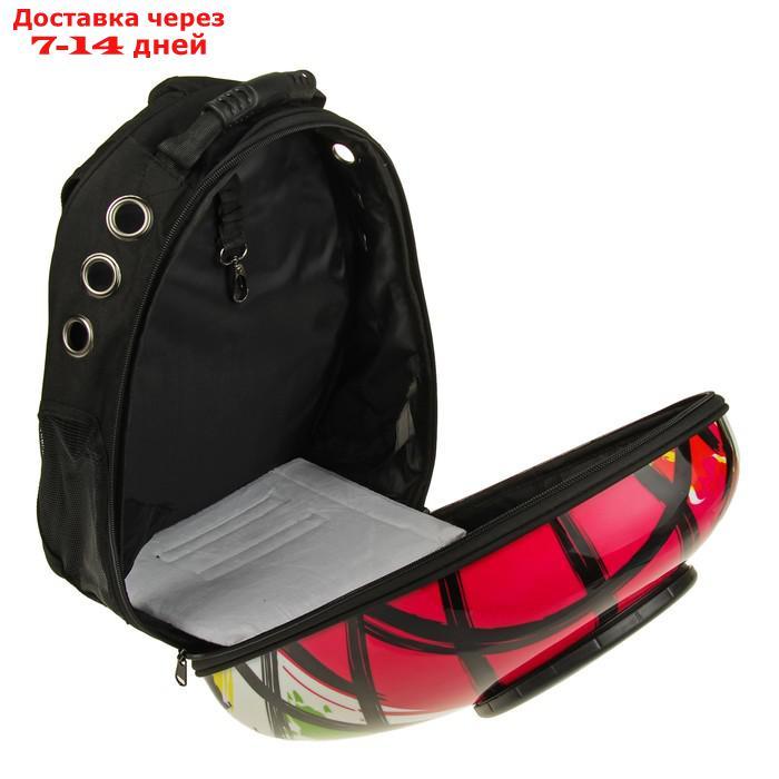 Рюкзак для переноски животных с окном для обзора "Штрихи", 32 х 22 х 43 см, белый - фото 6 - id-p209291660