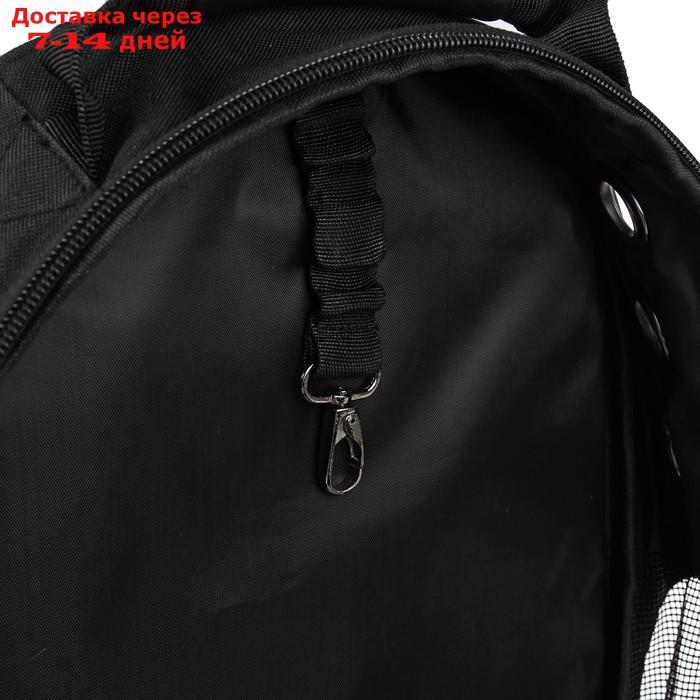 Рюкзак для переноски животных с окном для обзора "Штрихи", 32 х 22 х 43 см, белый - фото 7 - id-p209291660