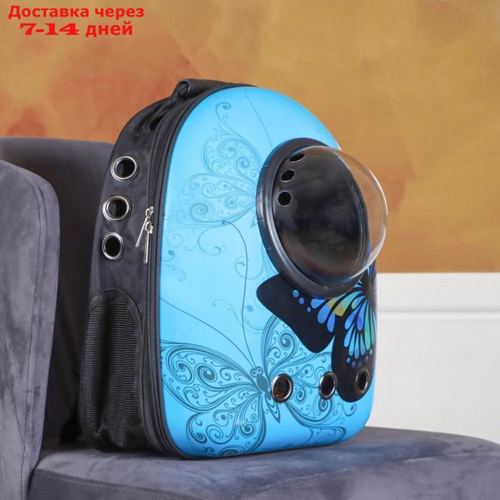 Рюкзак для переноски животных с окном для обзора "Бабочка", 32 х 26 х 44 см, голубой - фото 3 - id-p209291664