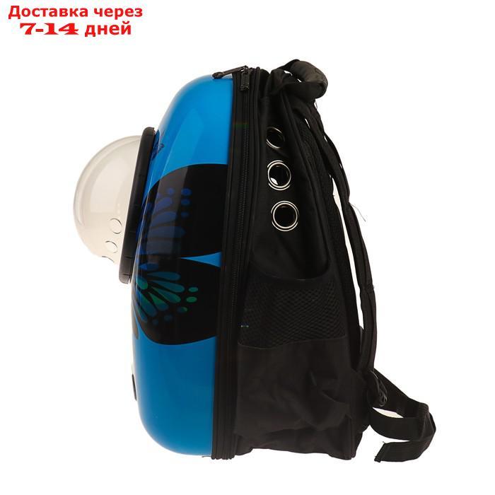 Рюкзак для переноски животных с окном для обзора "Бабочка", 32 х 26 х 44 см, голубой - фото 6 - id-p209291664