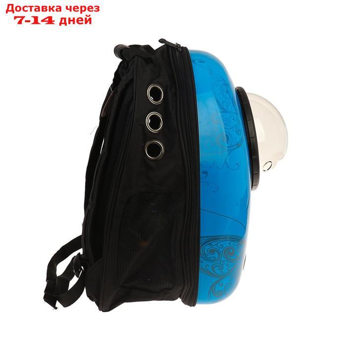Рюкзак для переноски животных с окном для обзора "Бабочка", 32 х 26 х 44 см, голубой - фото 8 - id-p209291664