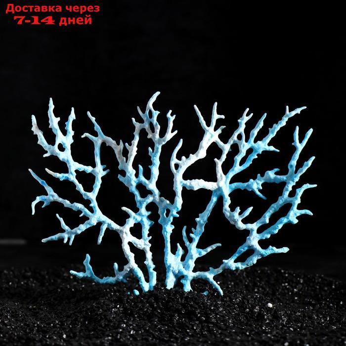 Коралл пластиковый большой 24,5 х 4 х 19 см, голубой - фото 3 - id-p209290212