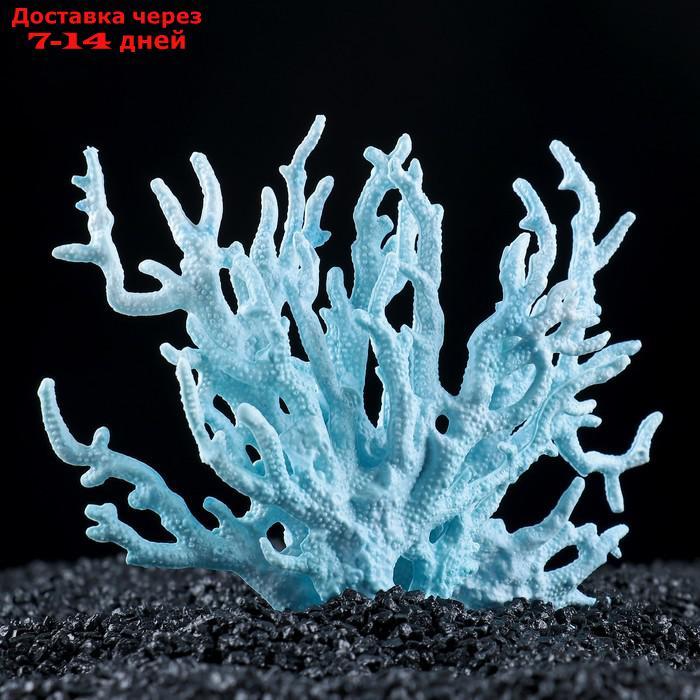 Коралл пластиковый малый 17 х 6 х 13 см, голубой - фото 1 - id-p209290213