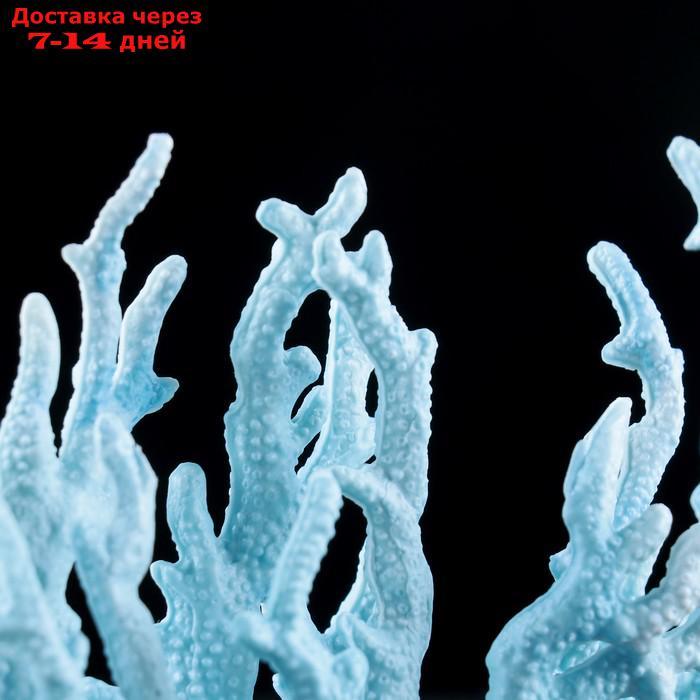 Коралл пластиковый малый 17 х 6 х 13 см, голубой - фото 3 - id-p209290213