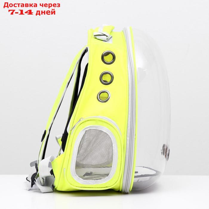 Рюкзак для переноски животных прозрачный, 31 х 28 х 42 см, салатовый - фото 3 - id-p209291678