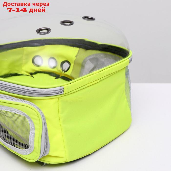 Рюкзак для переноски животных прозрачный, 31 х 28 х 42 см, салатовый - фото 10 - id-p209291678