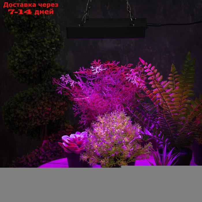Светильник для растений, 50 Вт, полный спектр