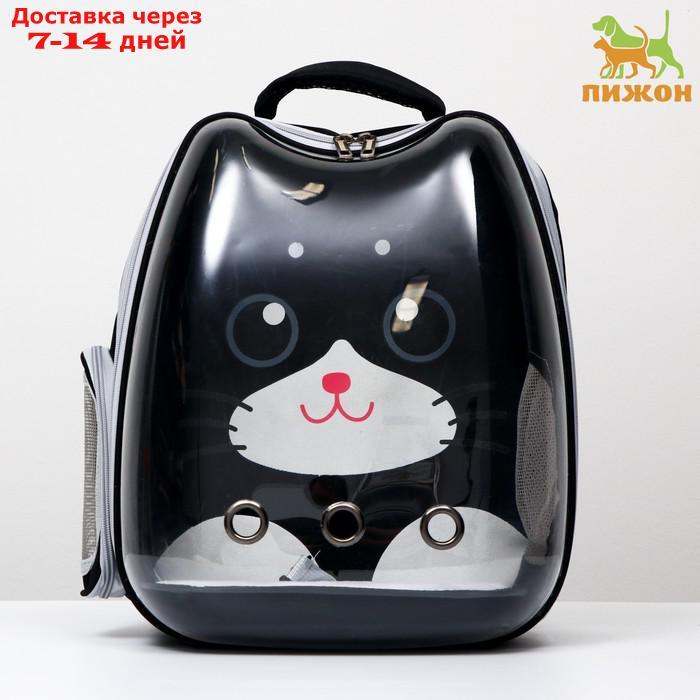 Рюкзак для переноски животных "Котик", прозрачный, 34 х 25 х 40 см, чёрный - фото 1 - id-p209294925