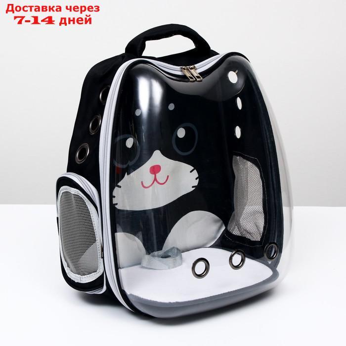 Рюкзак для переноски животных "Котик", прозрачный, 34 х 25 х 40 см, чёрный - фото 2 - id-p209294925