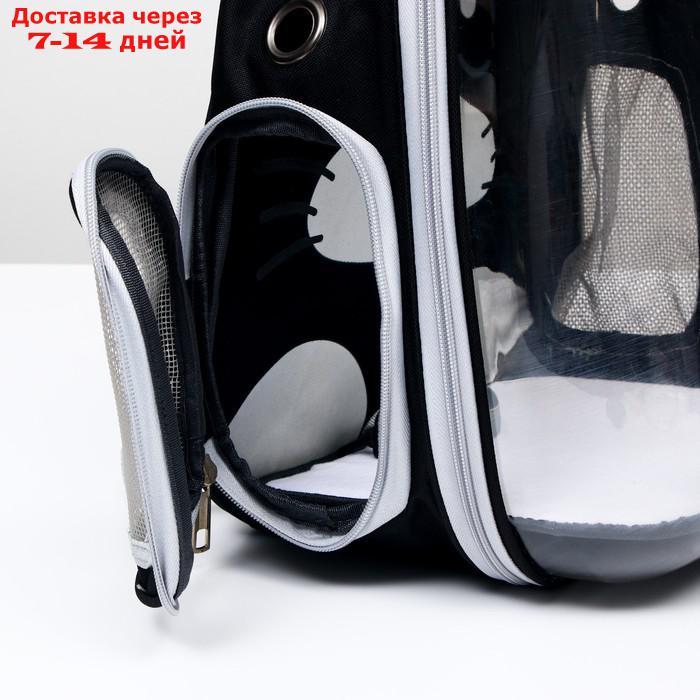 Рюкзак для переноски животных "Котик", прозрачный, 34 х 25 х 40 см, чёрный - фото 6 - id-p209294925