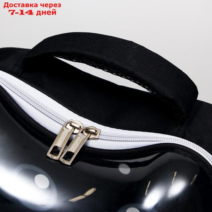 Рюкзак для переноски животных "Котик", прозрачный, 34 х 25 х 40 см, чёрный - фото 7 - id-p209294925