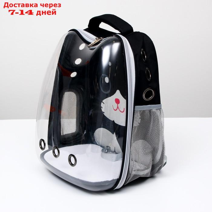 Рюкзак для переноски животных "Котик", прозрачный, 34 х 25 х 40 см, чёрный - фото 8 - id-p209294925