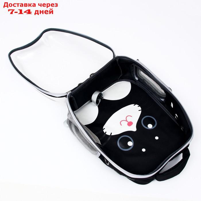 Рюкзак для переноски животных "Котик", прозрачный, 34 х 25 х 40 см, чёрный - фото 10 - id-p209294925