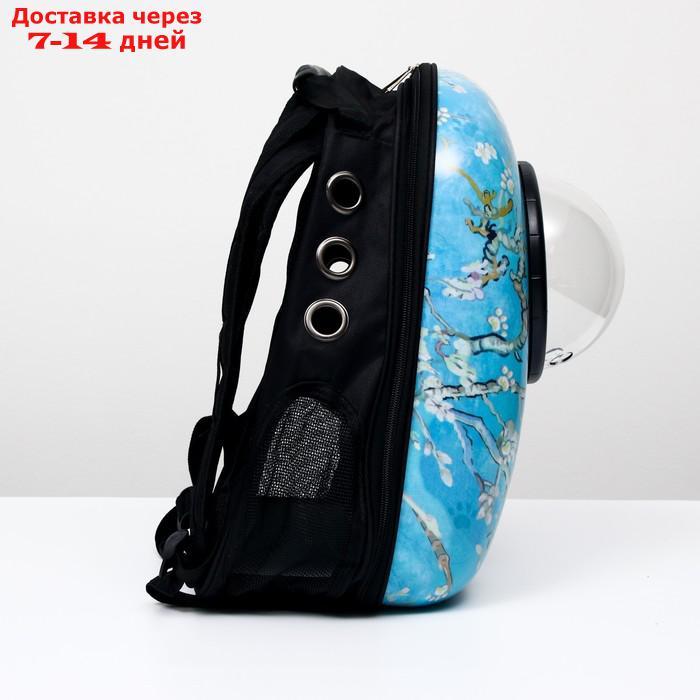 Рюкзак для переноски животных с окном для обзора "Лапки", 32 х 25 х 42 см, голубой - фото 3 - id-p209294927