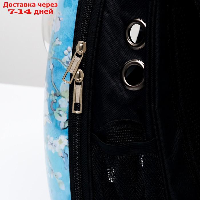 Рюкзак для переноски животных с окном для обзора "Лапки", 32 х 25 х 42 см, голубой - фото 6 - id-p209294927