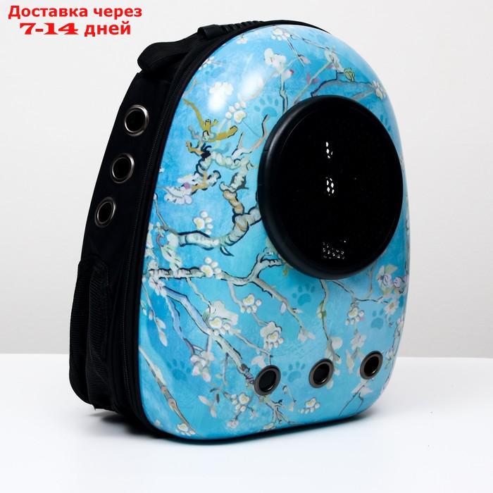 Рюкзак для переноски животных с окном для обзора "Лапки", 32 х 25 х 42 см, голубой - фото 8 - id-p209294927