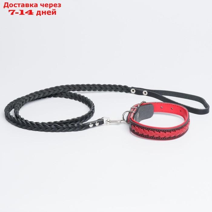 Комплект ошейник и поводок с косой, чёрный с красным - фото 4 - id-p209294940