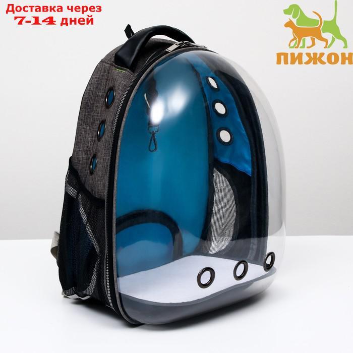 Рюкзак для переноски животных прозрачный, 31 х 28 х 42 см, голубой - фото 1 - id-p209294943