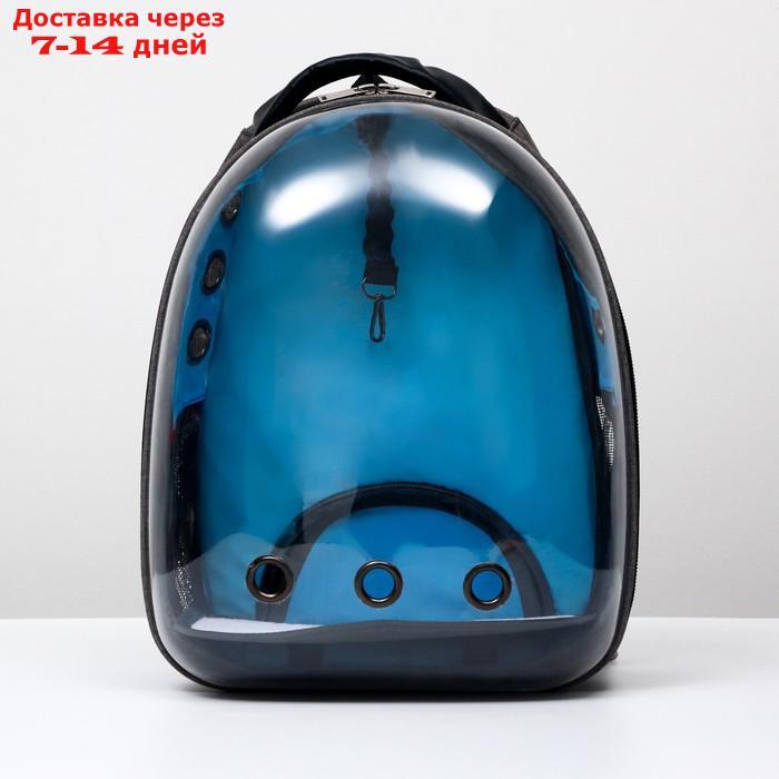 Рюкзак для переноски животных прозрачный, 31 х 28 х 42 см, голубой - фото 2 - id-p209294943