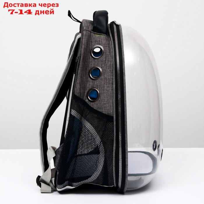 Рюкзак для переноски животных прозрачный, 31 х 28 х 42 см, голубой - фото 3 - id-p209294943