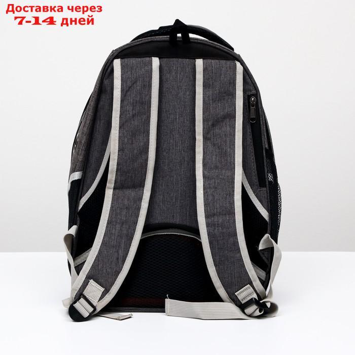 Рюкзак для переноски животных прозрачный, 31 х 28 х 42 см, голубой - фото 4 - id-p209294943
