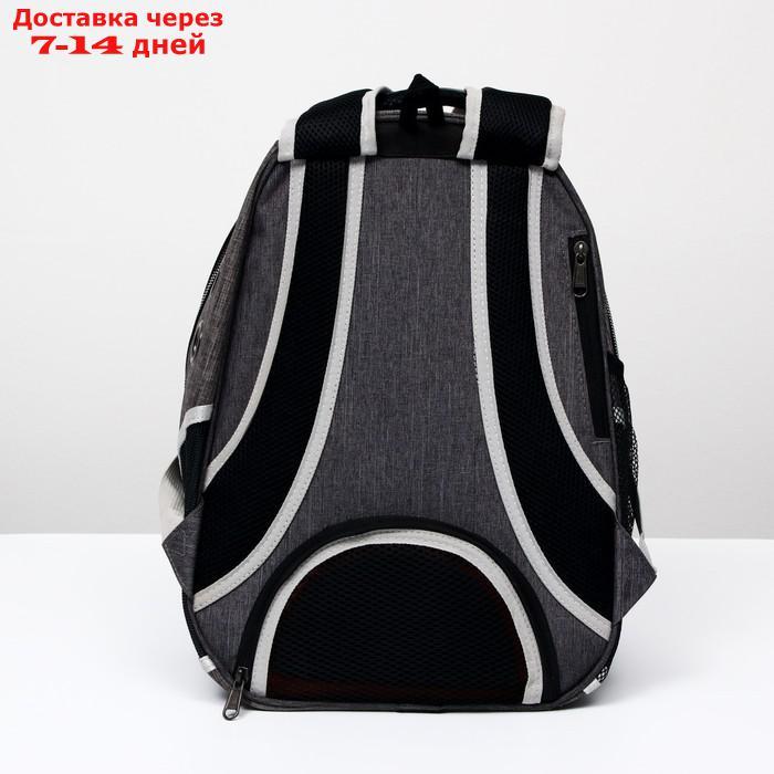 Рюкзак для переноски животных прозрачный, 31 х 28 х 42 см, голубой - фото 5 - id-p209294943