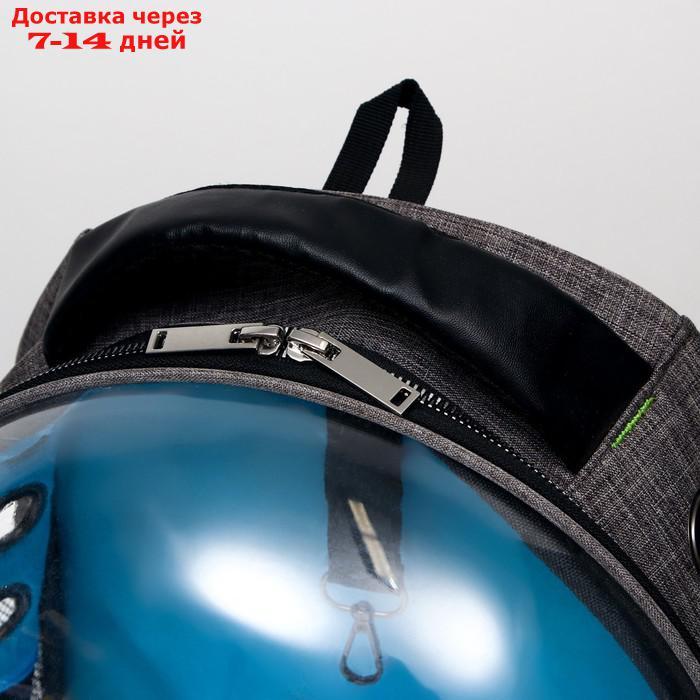 Рюкзак для переноски животных прозрачный, 31 х 28 х 42 см, голубой - фото 7 - id-p209294943