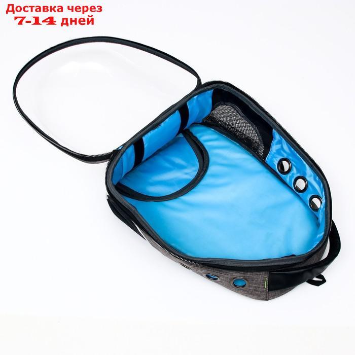 Рюкзак для переноски животных прозрачный, 31 х 28 х 42 см, голубой - фото 8 - id-p209294943