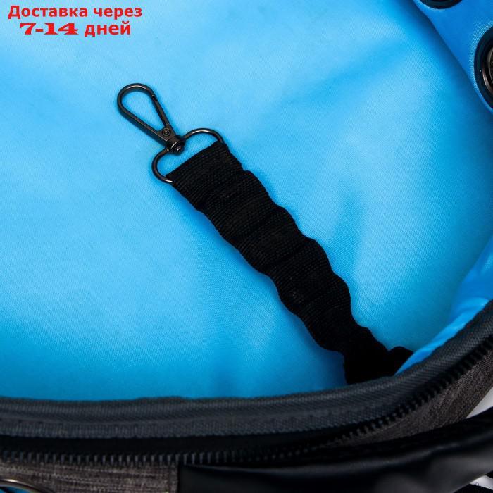 Рюкзак для переноски животных прозрачный, 31 х 28 х 42 см, голубой - фото 9 - id-p209294943