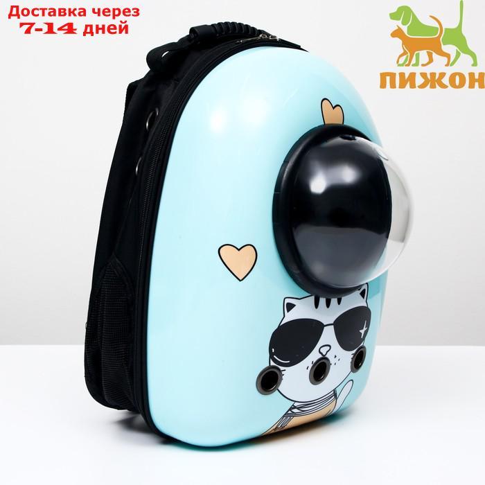 Рюкзак для переноски животных с окном для обзора "Гламуррр", 32 х 25 х 42 см, голубой - фото 1 - id-p209294944