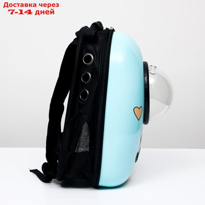 Рюкзак для переноски животных с окном для обзора "Гламуррр", 32 х 25 х 42 см, голубой - фото 3 - id-p209294944