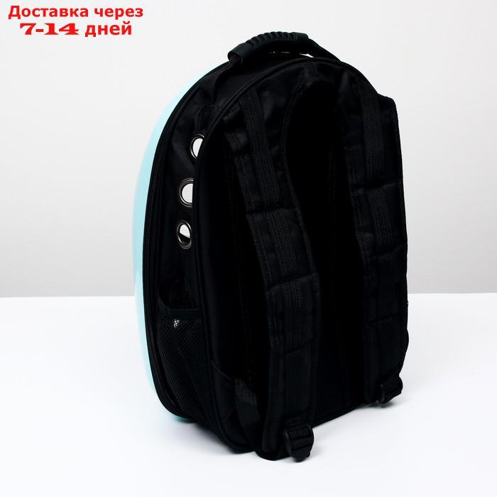 Рюкзак для переноски животных с окном для обзора "Гламуррр", 32 х 25 х 42 см, голубой - фото 4 - id-p209294944