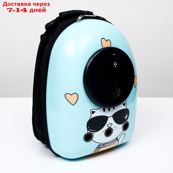 Рюкзак для переноски животных с окном для обзора "Гламуррр", 32 х 25 х 42 см, голубой - фото 9 - id-p209294944