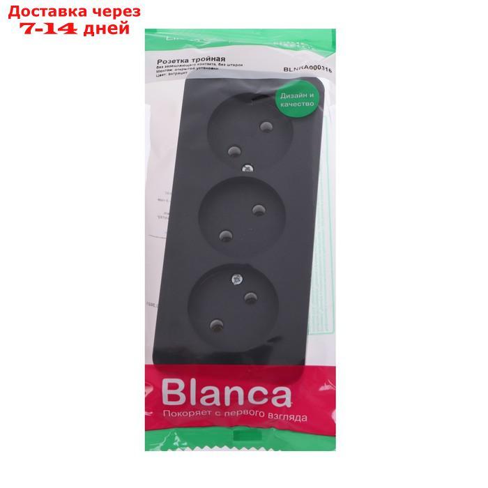 Розетка 3-м ОП Blanca 16А IP20 250В без заземл. без защ. шторок с изолир. пластиной антрацит - фото 2 - id-p209299881