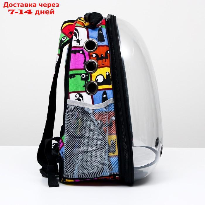 Рюкзак для переноски животных прозрачный "Глазастики", 31 х 28 х 42 см - фото 2 - id-p209294961